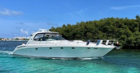 Sea Ray 60 - Imagen 1