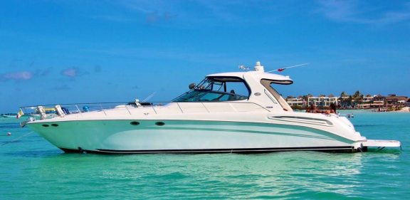 Sea Ray 60 - Imagen 1